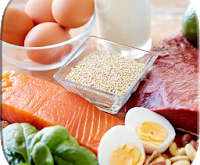 برنامه رژیم پر پروتئین : High Protein Diet